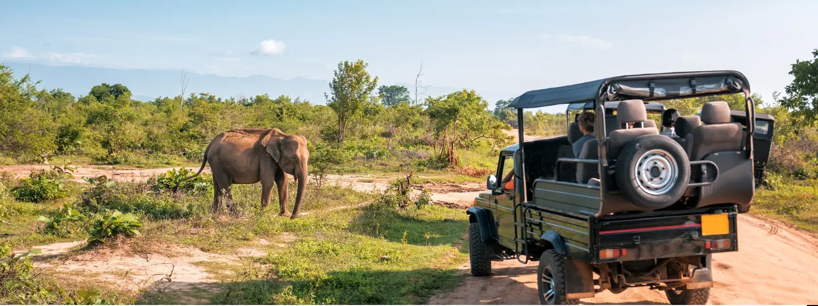 7 Best Seasons to Visit Kabini for Stunning Wildlife Safaris