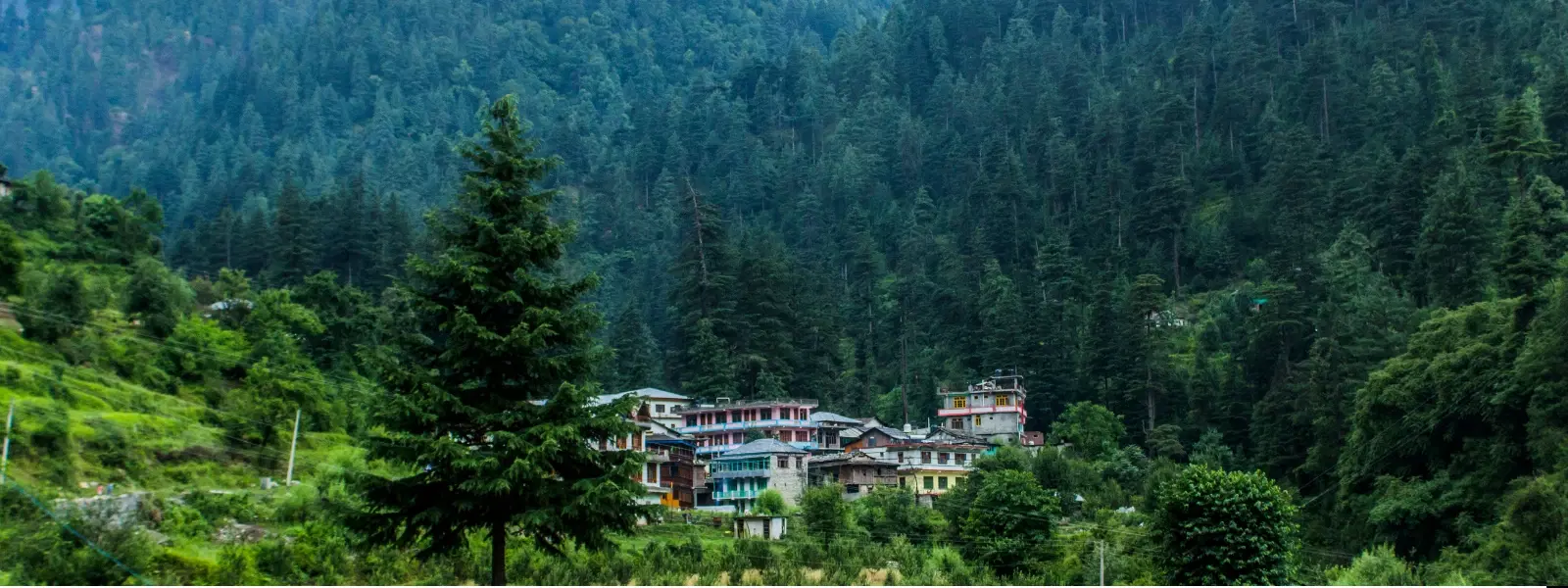 7 Best Times to Visit Jibhi for Perfect Weather & Views