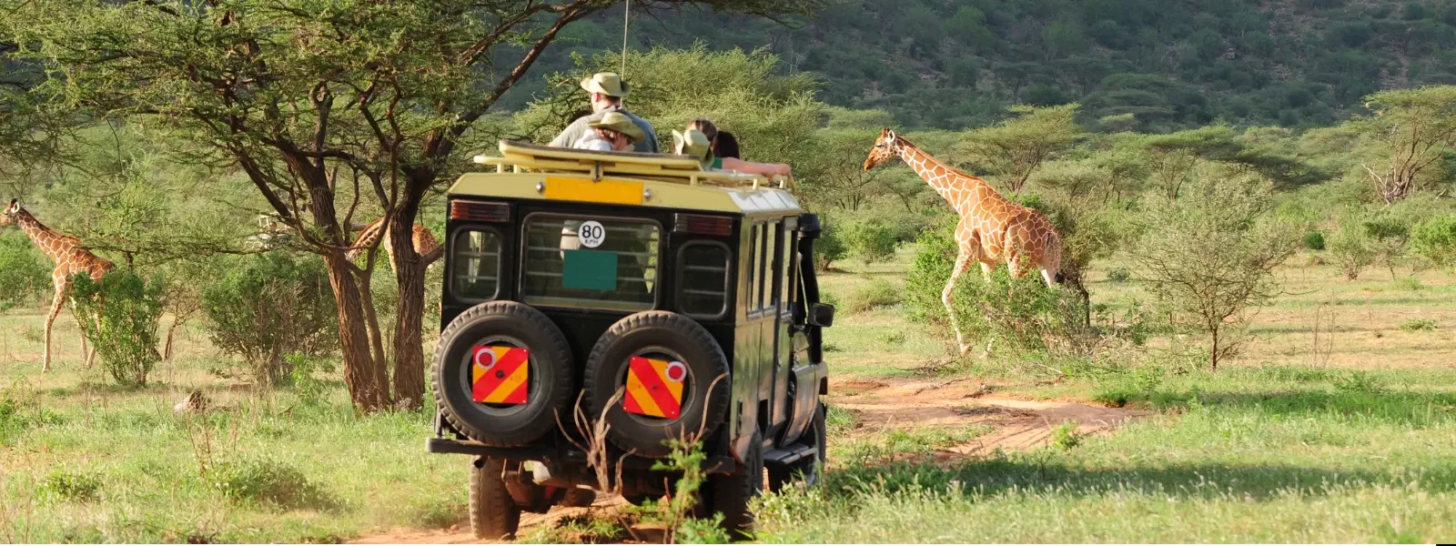 7 Best Times to Visit Kenya Safari: Travel Tips Included