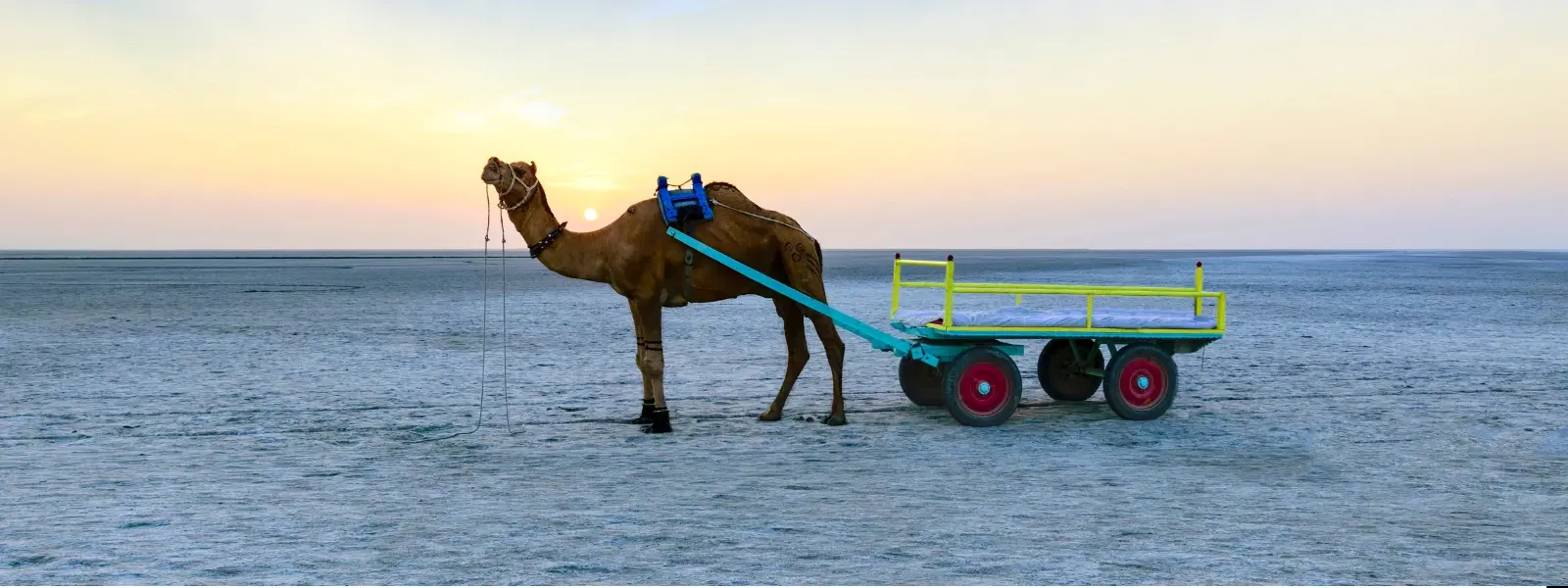 7 Best Times to Visit Kutch's Stunning White Desert