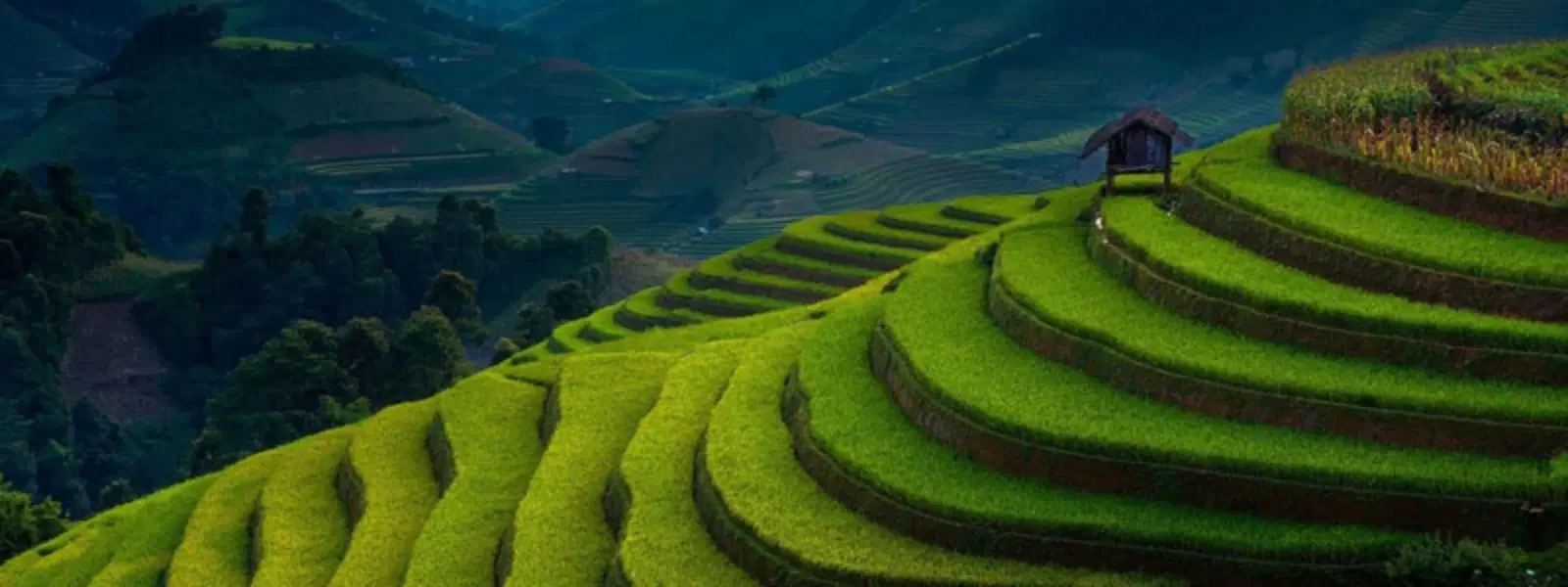 7 Best Times to Visit Ranikhet for Scenic Beauty