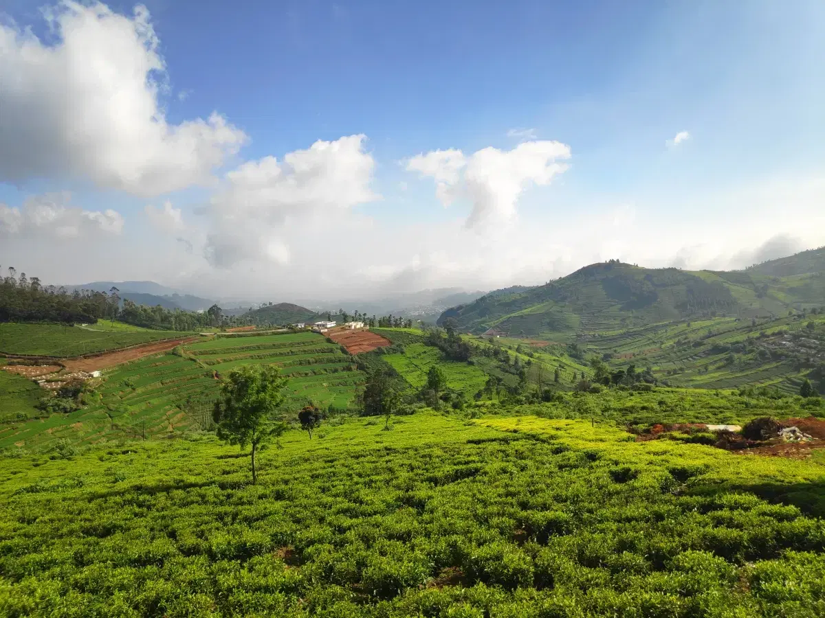 7 Romantic Spots in Pathankot for a Couples Getaway