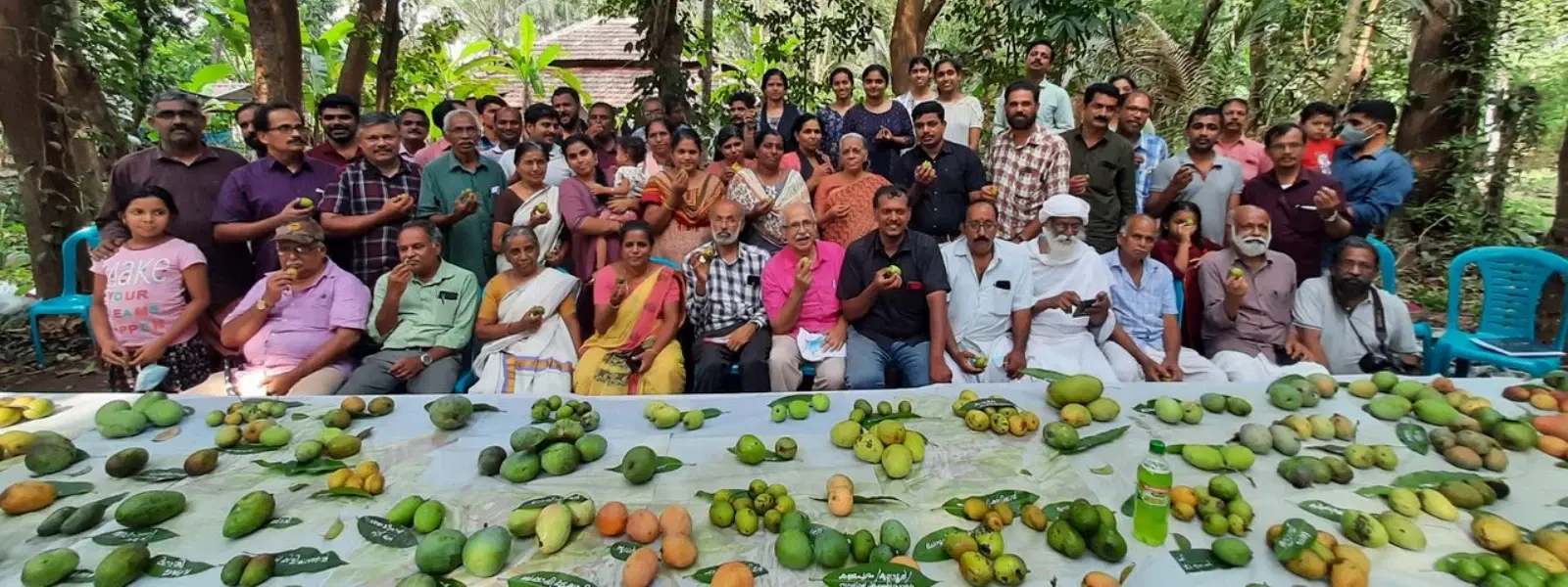 7 Villages with Mango Museums Every Tourist Must Visit