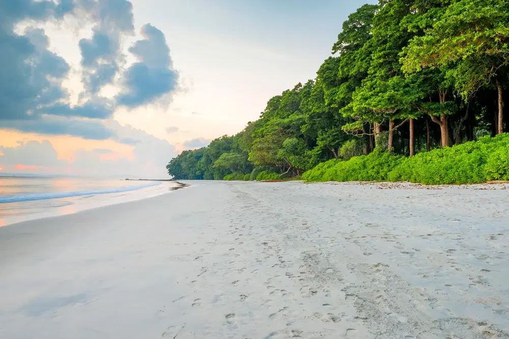 7 White Sand Towns in India for Beach Lovers