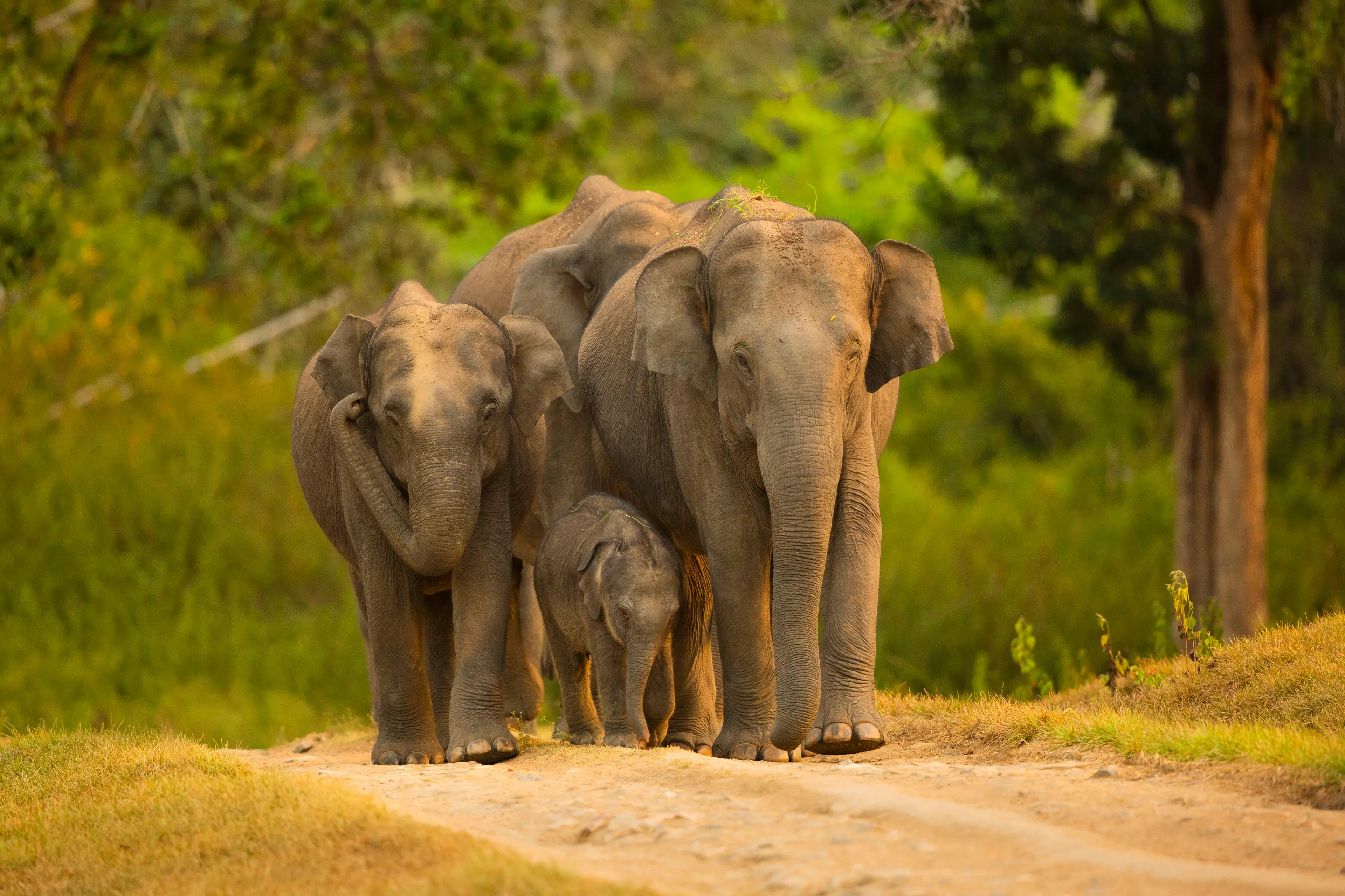 Top 8 Kerala Destinations for a Perfect Travel Checklist