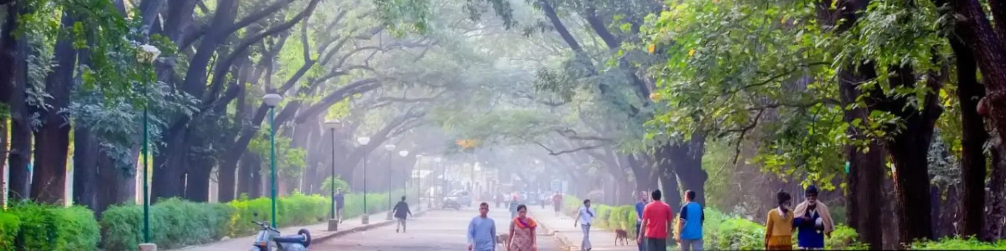 10 Free Things to Do in Bangalore: Top Attractions to See