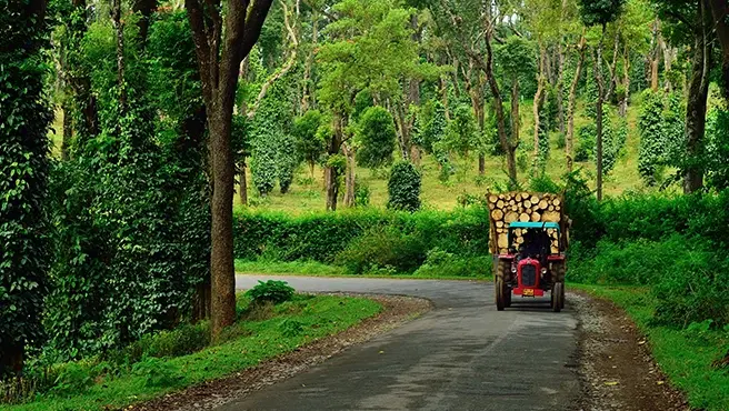 7 Scenic Spots to Visit Near Pune in March for a Weekend