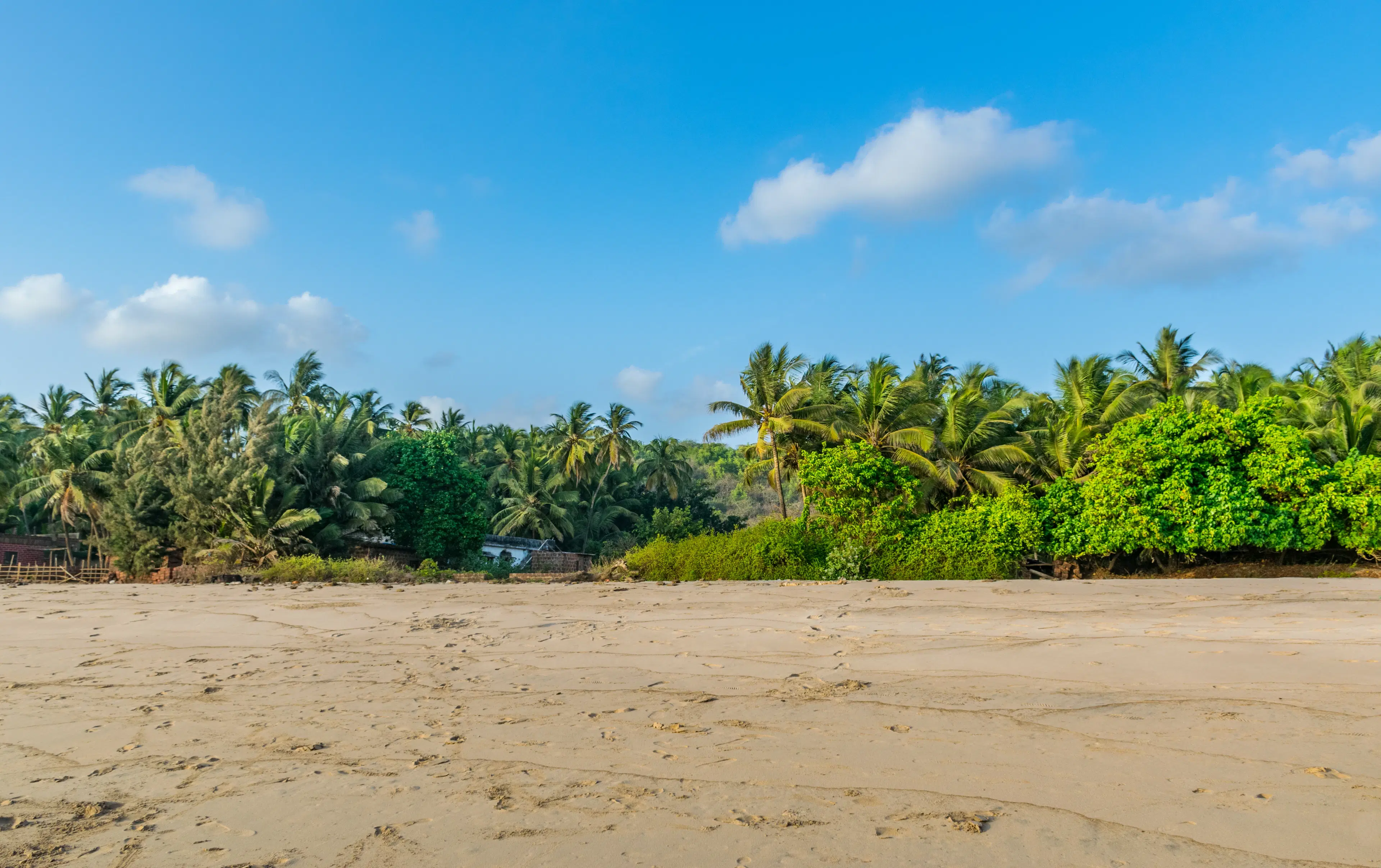 10 Best Day Trips in West Bengal: Top Spots to Explore