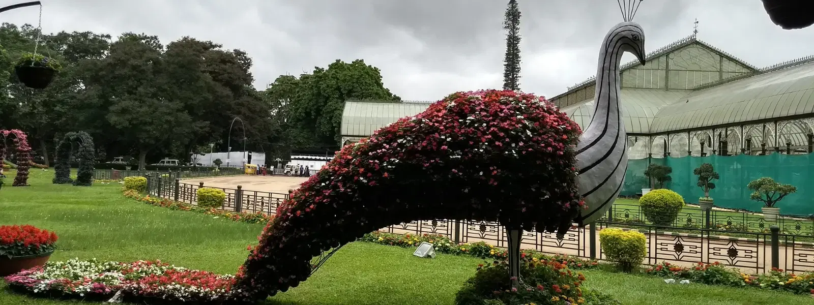 Expert Insights into Ooty Botanical Gardens' Beauty