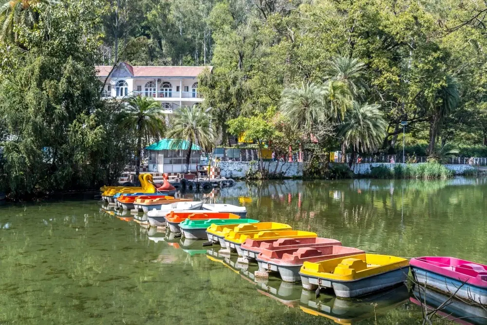 7 Best Hotels Near Sahastralinga Lake for Every Budget