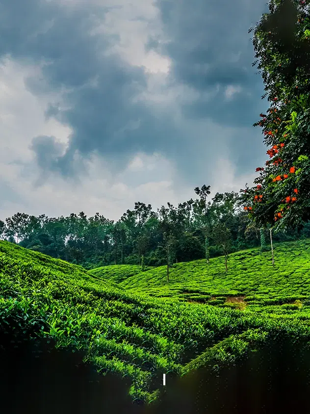 Checklist: Must-Visit Attractions in Nashik for Travelers