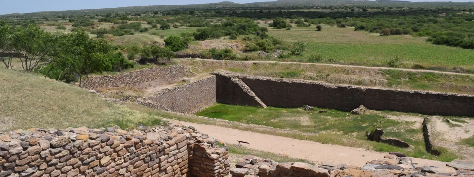 Unveiling Jungles with Ancient Ruins: Expert Insights