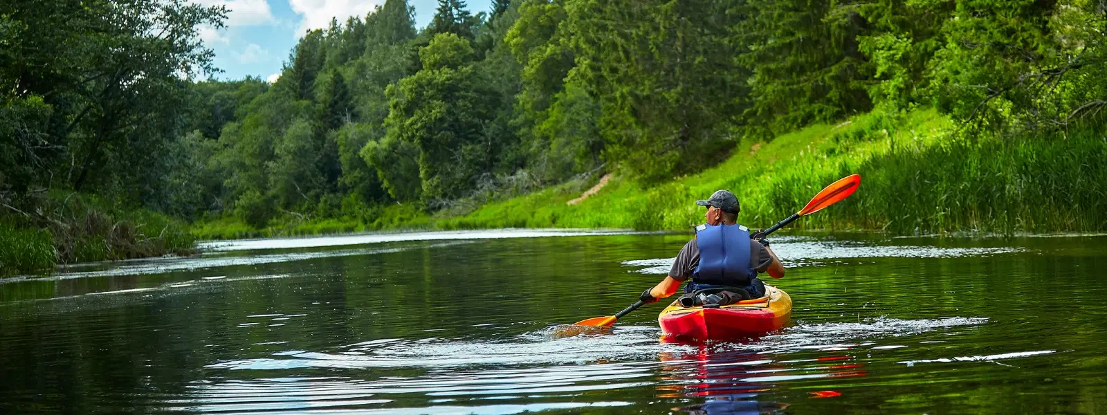 7 Stunning Mangrove Kayaking Destinations to Explore