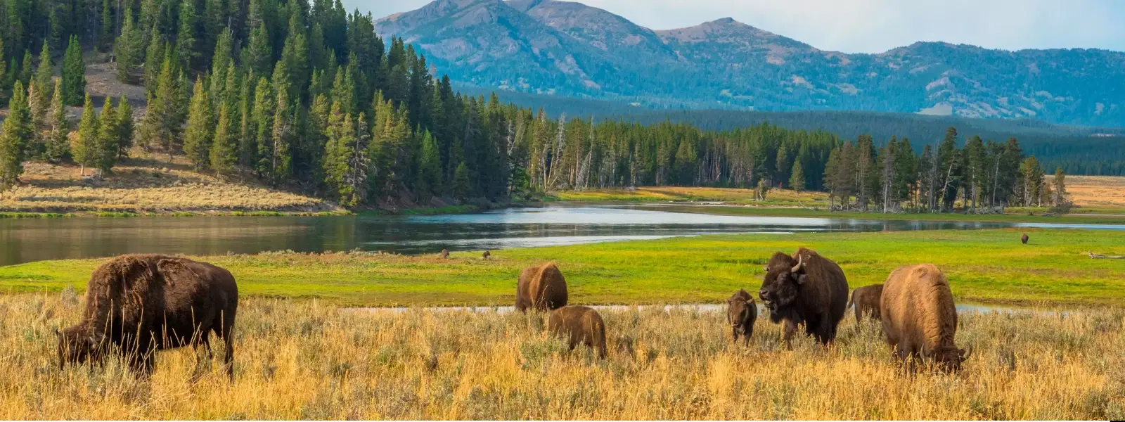 FAQs About Elk Island National Park: What to Expect