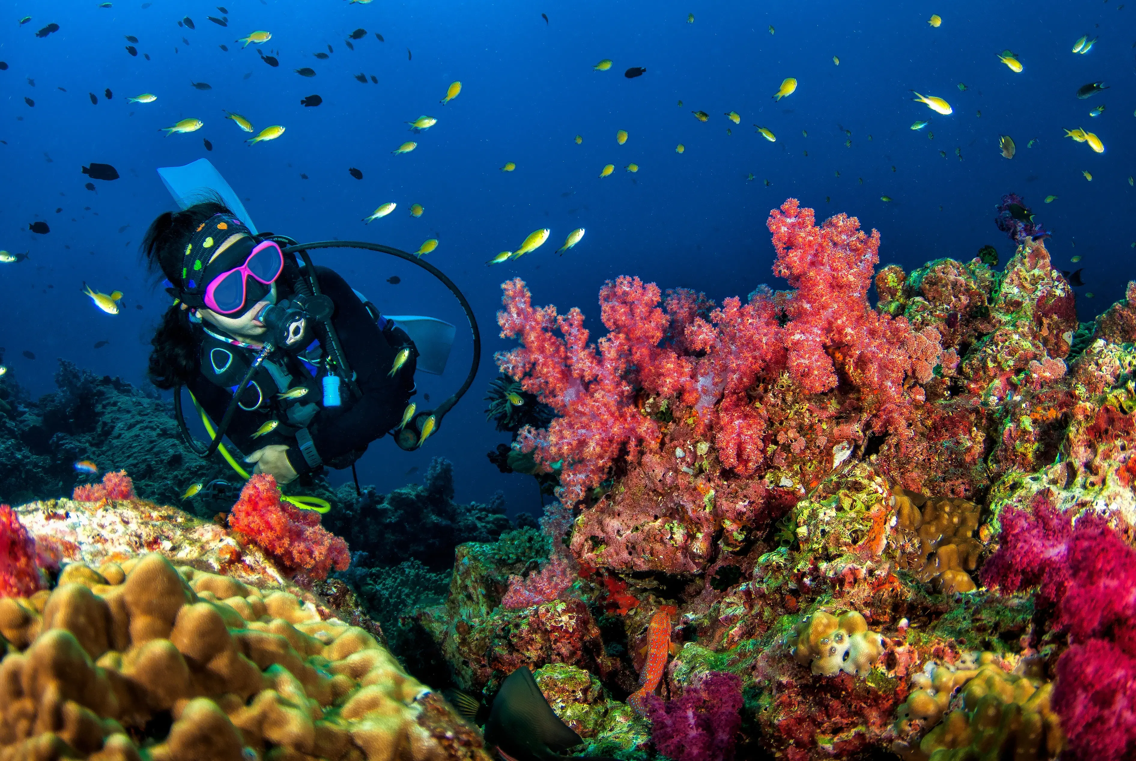 9 Must-Visit Dive Sites for Scuba Diving in Maldives