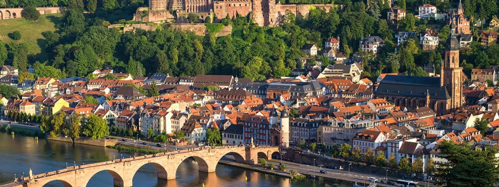 A Beginner's Guide to Day Trips from Frankfurt