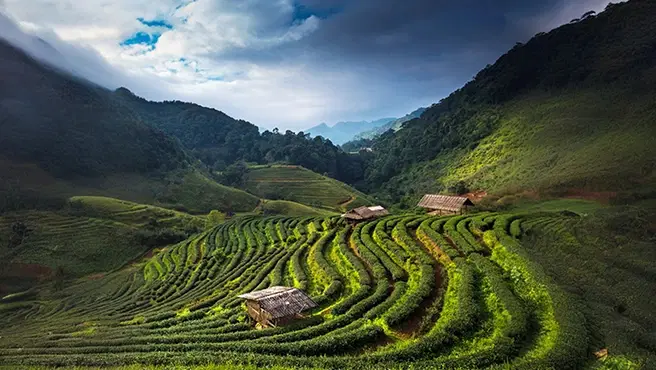 Top 10 Places to Visit in India in May and June