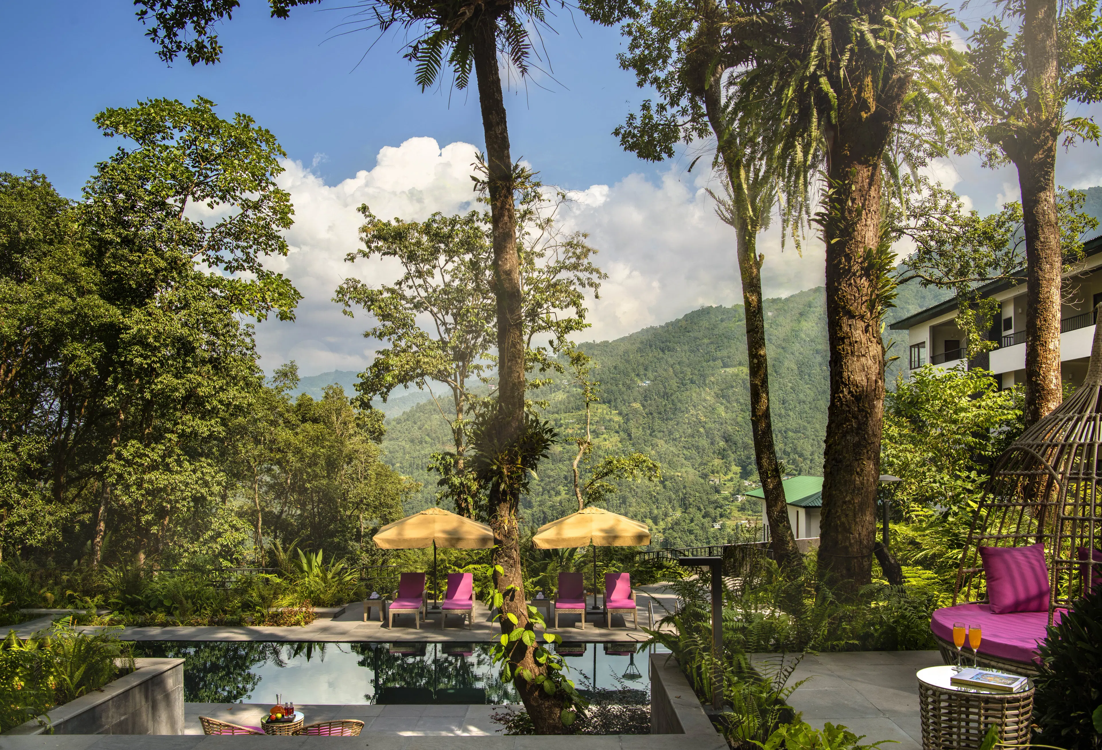 Step-by-Step Guide for Planning a Munnar Holiday Itinerary