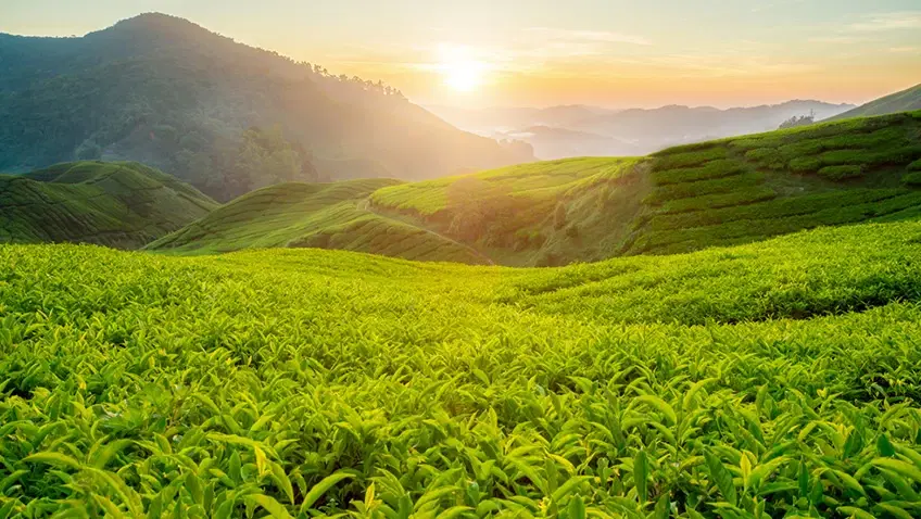 10 Must-Visit Family Spots in Lonavala for a Perfect Trip