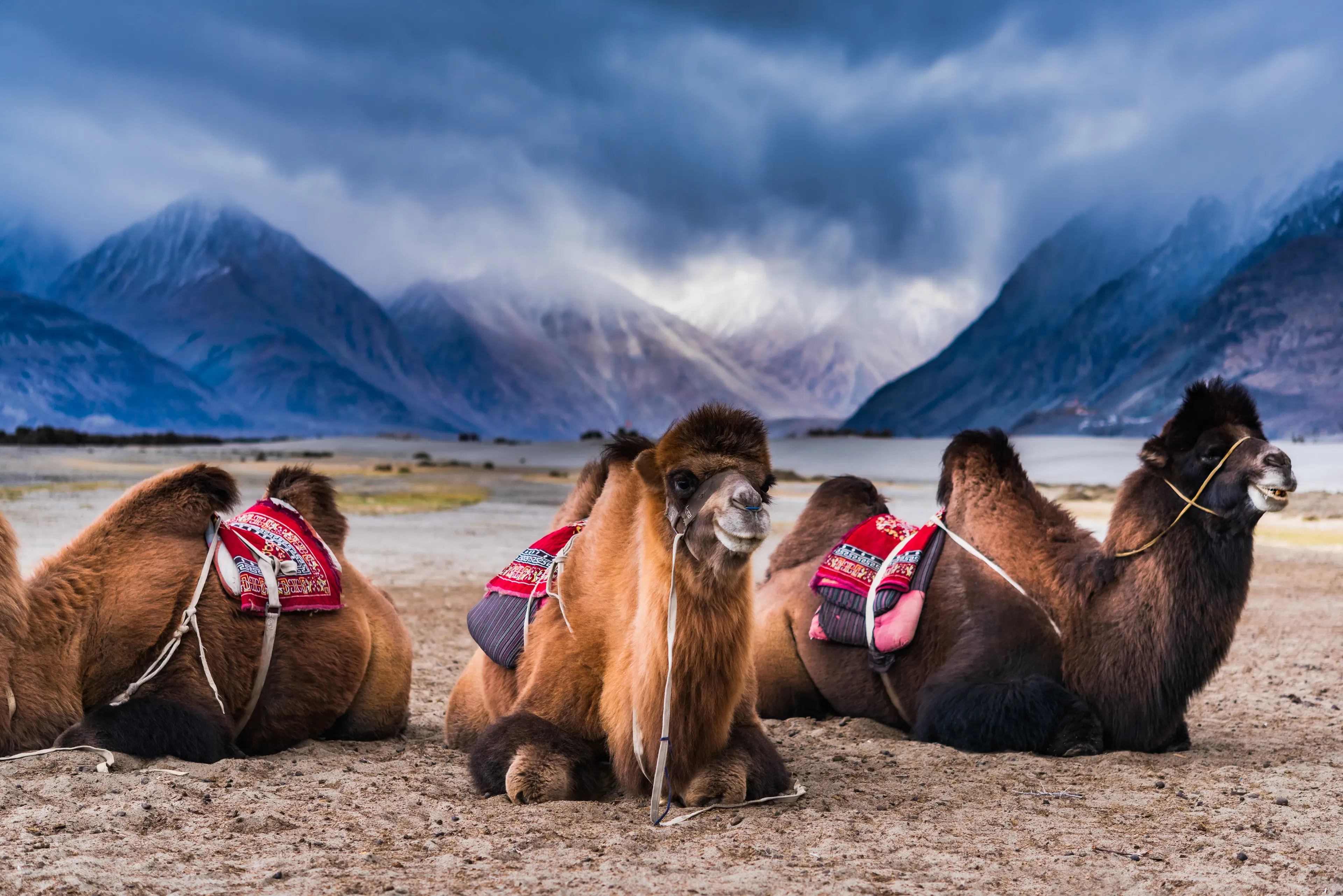 10 Must-Visit Places in Kullu Manali for Every Traveler