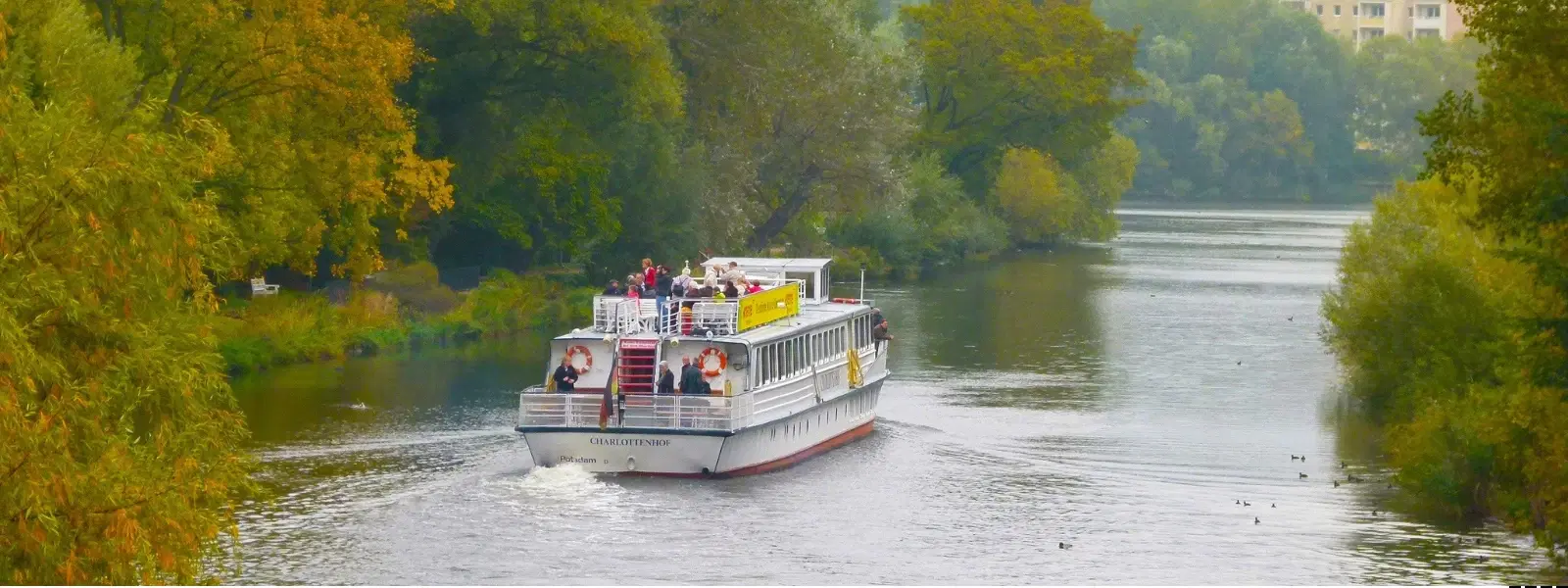 Baratang Limestone Caves vs Mangroves: Which to Visit?