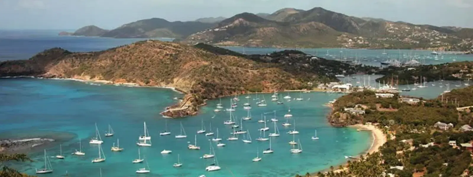 Barbuda Island vs Antigua: Which Caribbean Gem Wins?