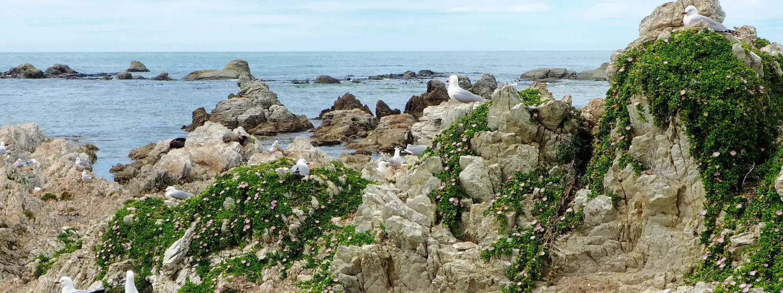 Bharatpur Bird Sanctuary: Which State Is It Located In?