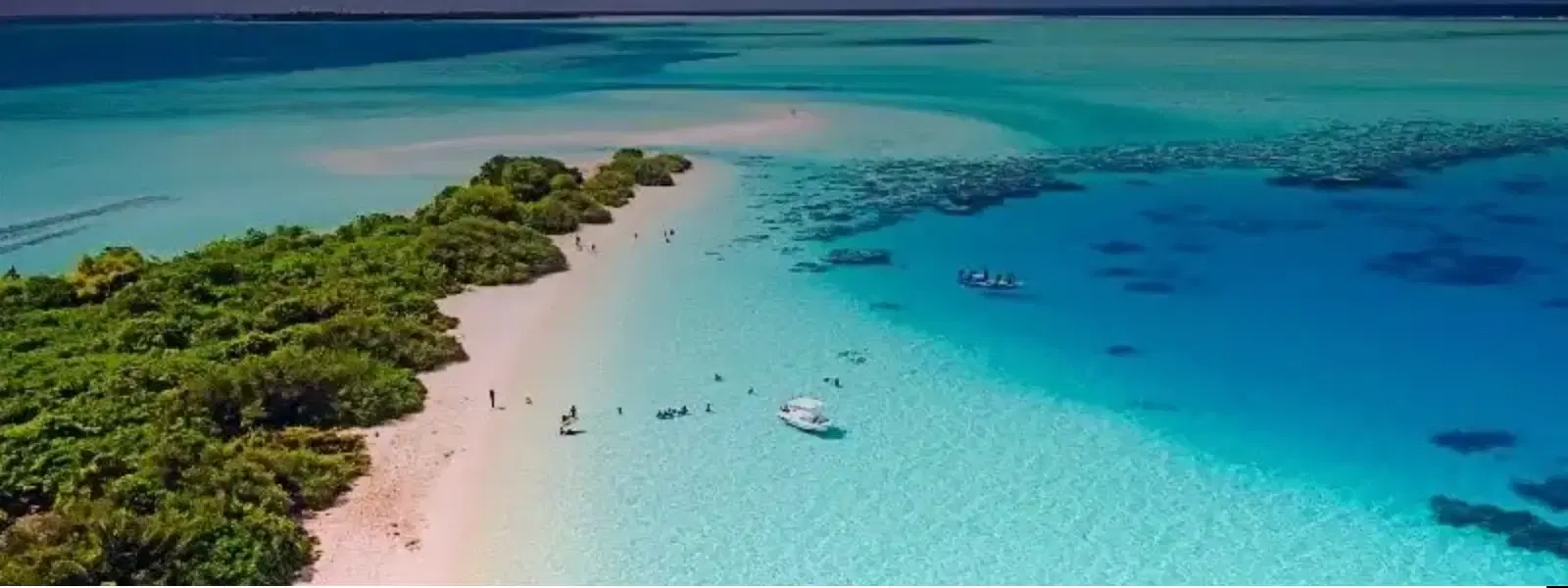 Checklist: Best Time to Visit Lakshadweep for Honeymoon