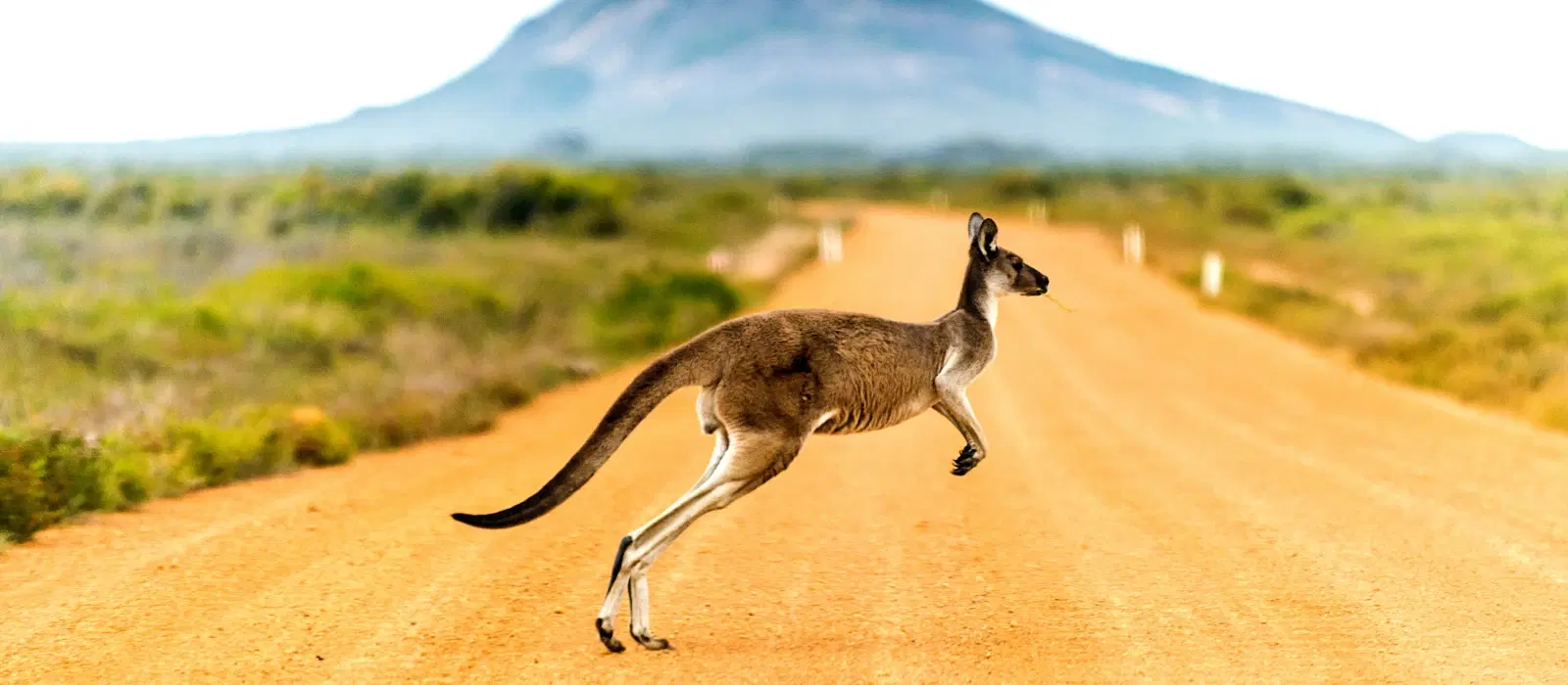 Checklist: Cheapest Time to Fly to Australia