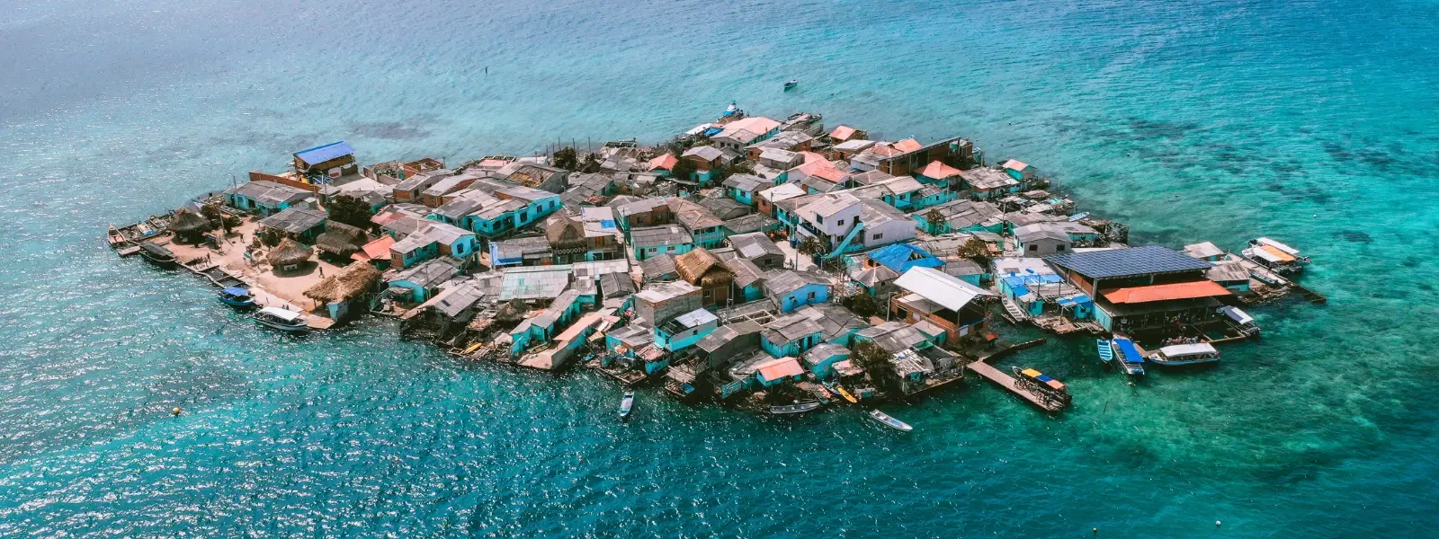 Checklist: Exploring the Most Crowded Island on Earth