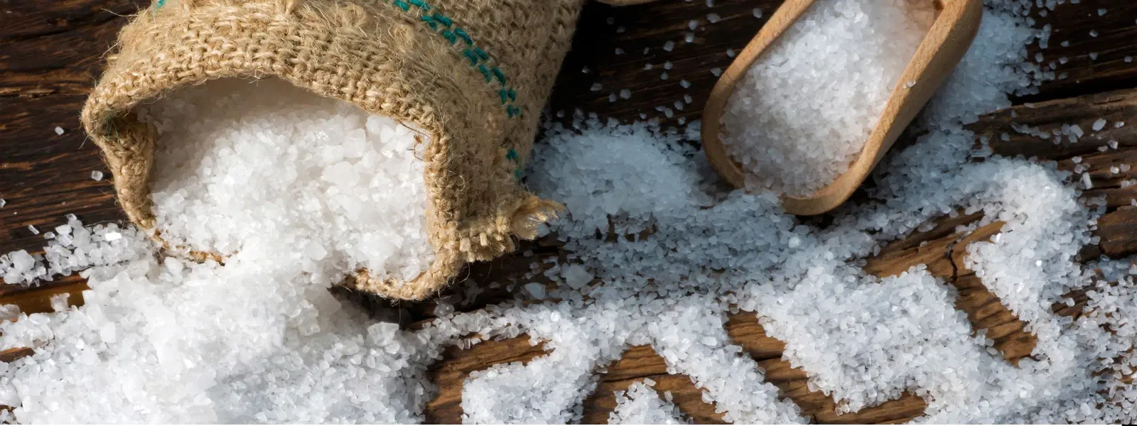 Checklist for Exploring Salt Pans of South India