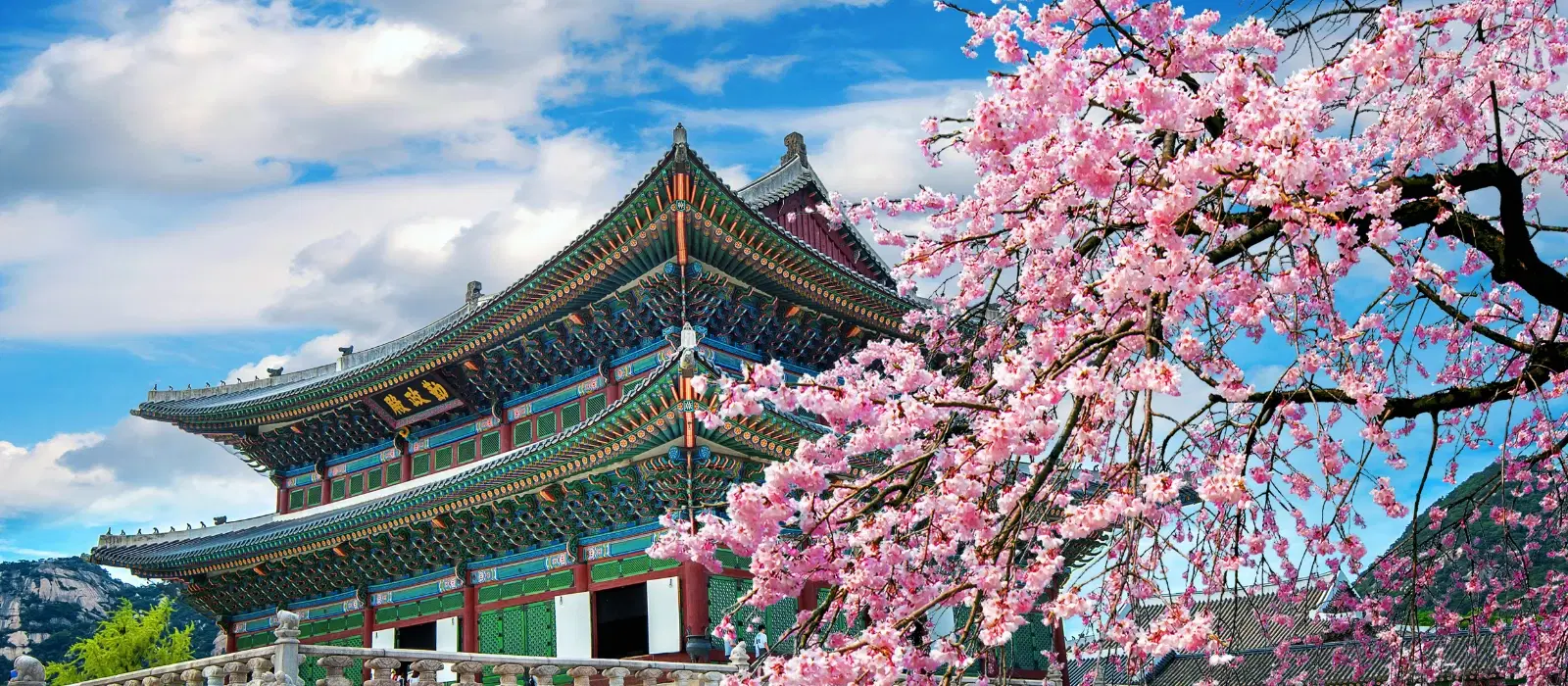 Checklist for Finding the Cheapest Time to Fly to Korea