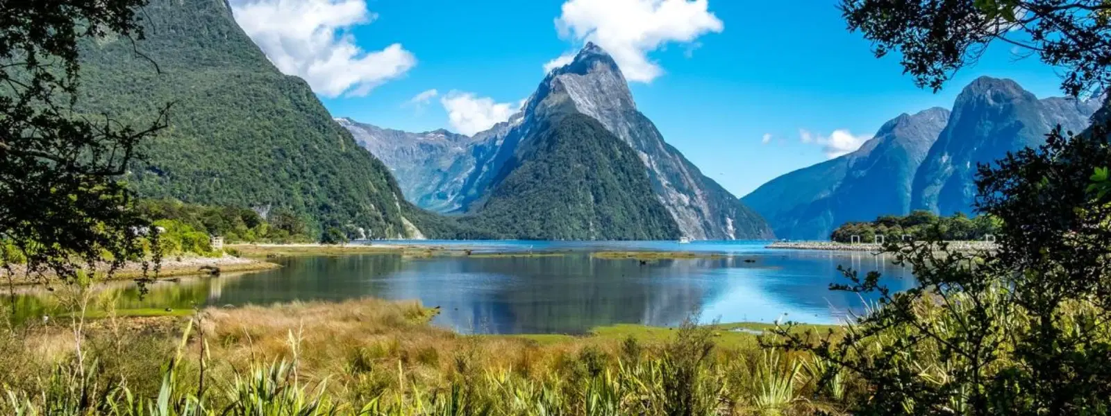 Checklist for Perfect Day Trips to Milford Sound