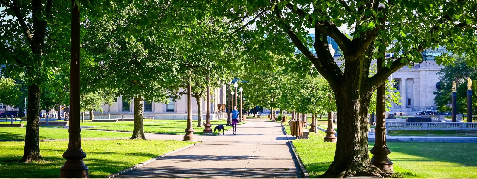 Checklist for Thriving Mango Orchards in India