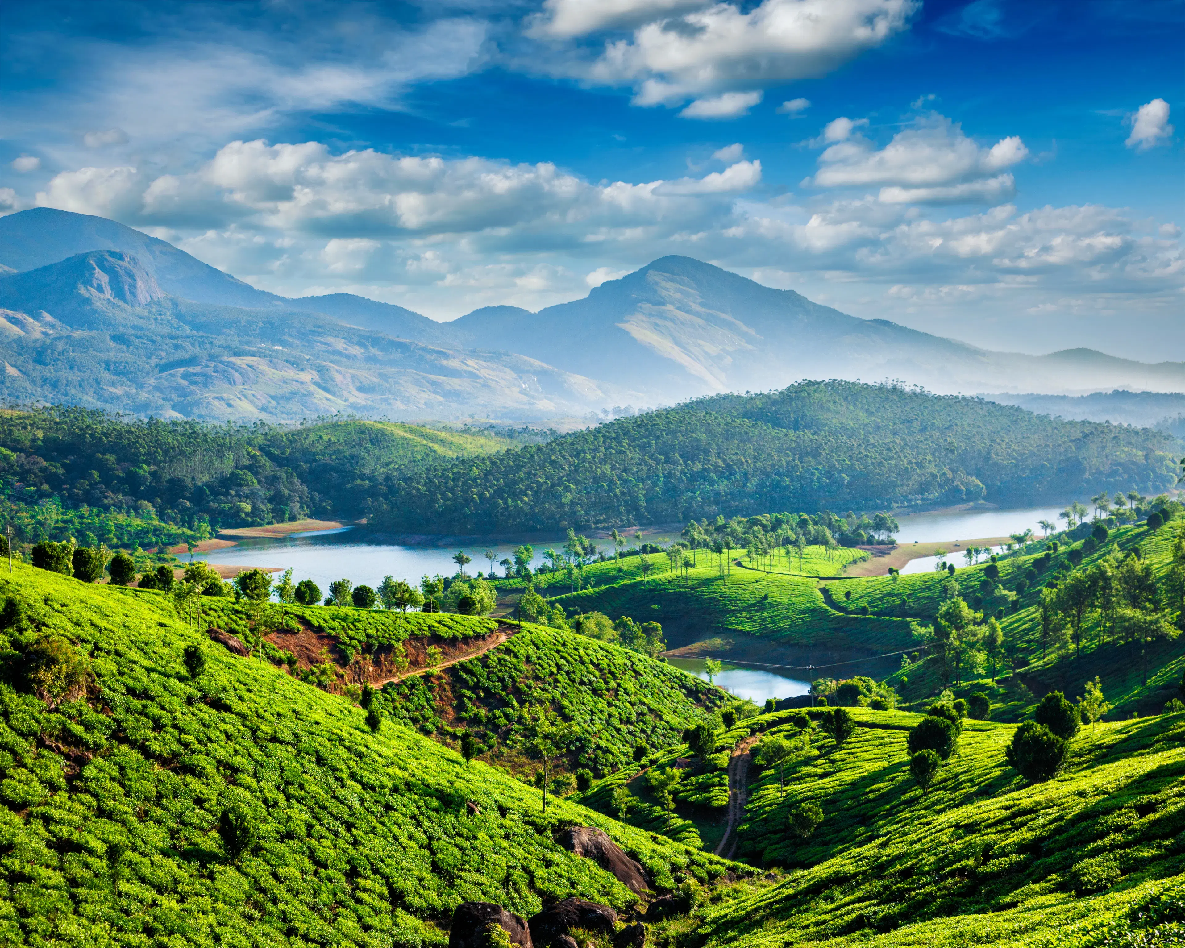 Discover Hidden Places in Kochi: A Local’s Perspective