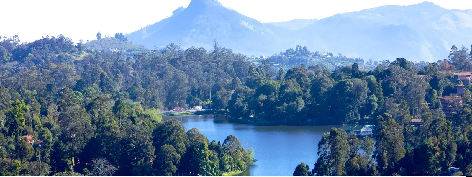 Discover Hidden Places in Kodaikanal: Expert Insights