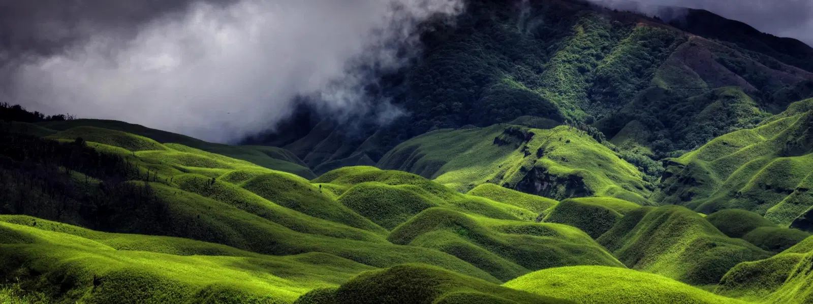 Discover the Best Time to Visit Nagaland: Expert Insights