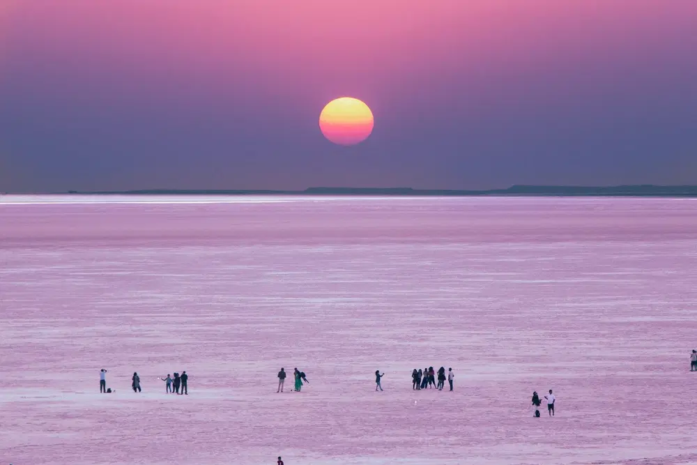 Discover the Magic of Salt Desert Retreats in India