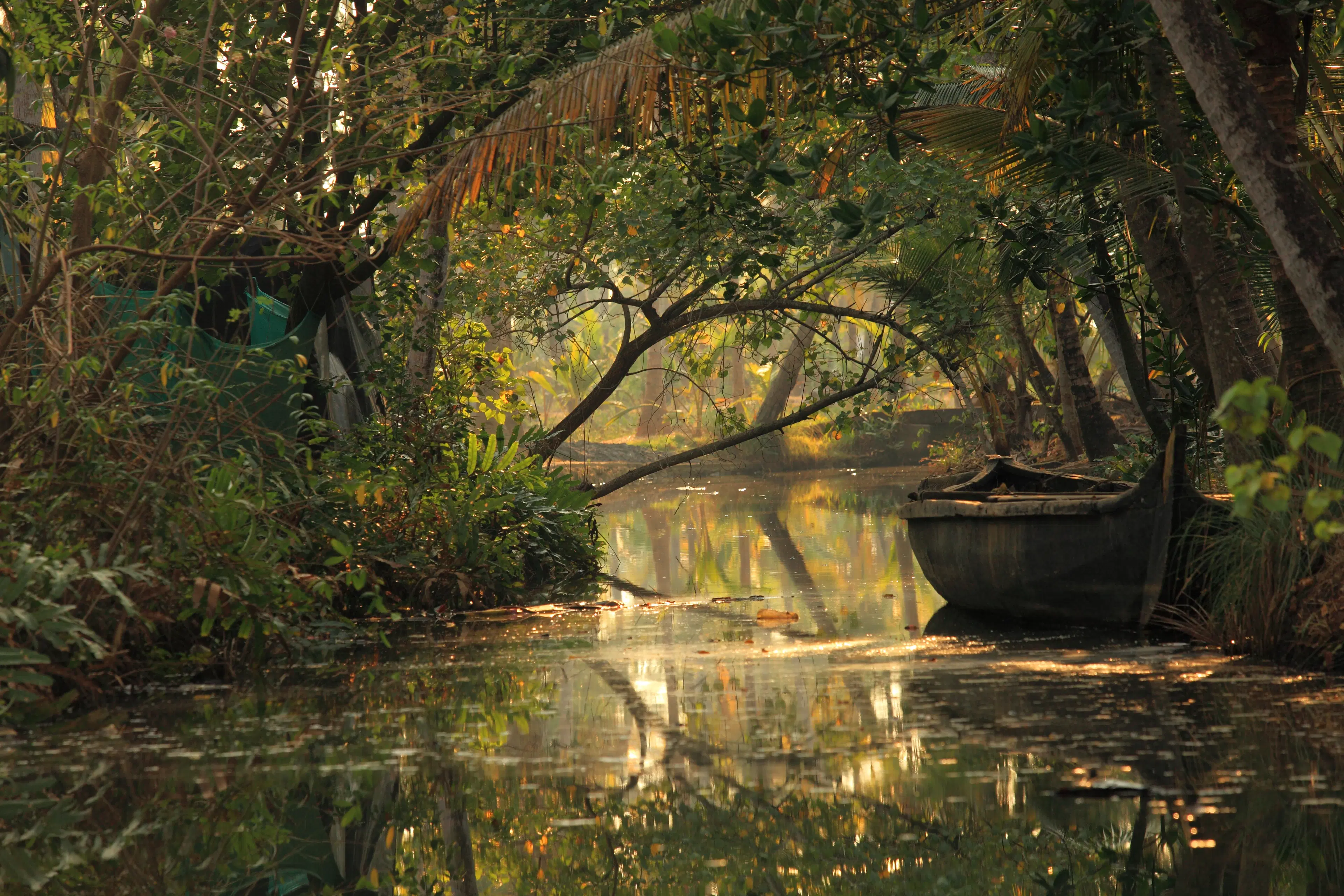 10 Best Places to Visit with Parents in India