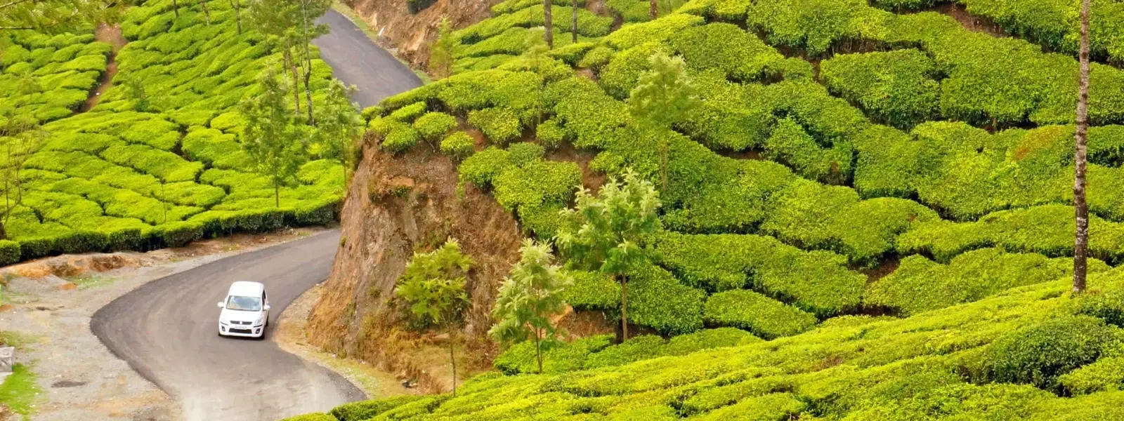 Essential Checklist for a Perfect Ooty Road Trip Adventure