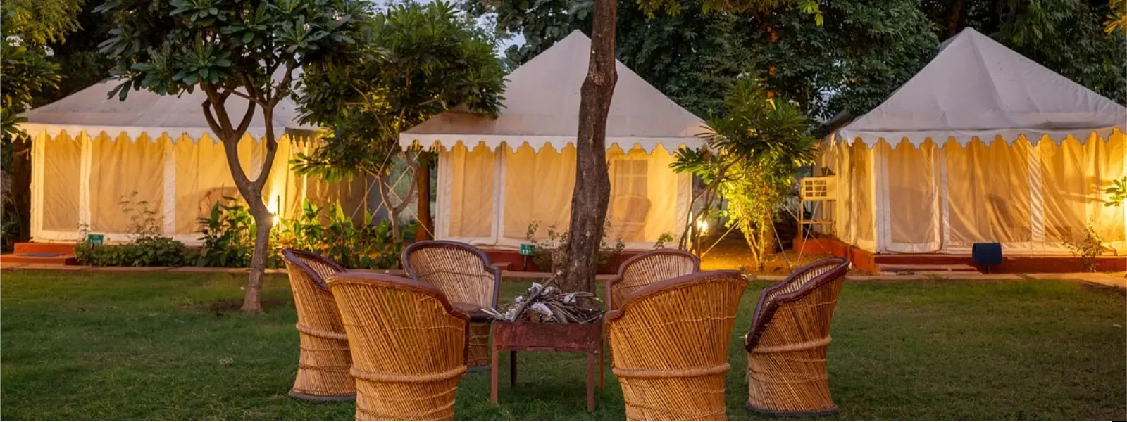 Essential Checklist for a Ranthambore Luxury Camp Stay