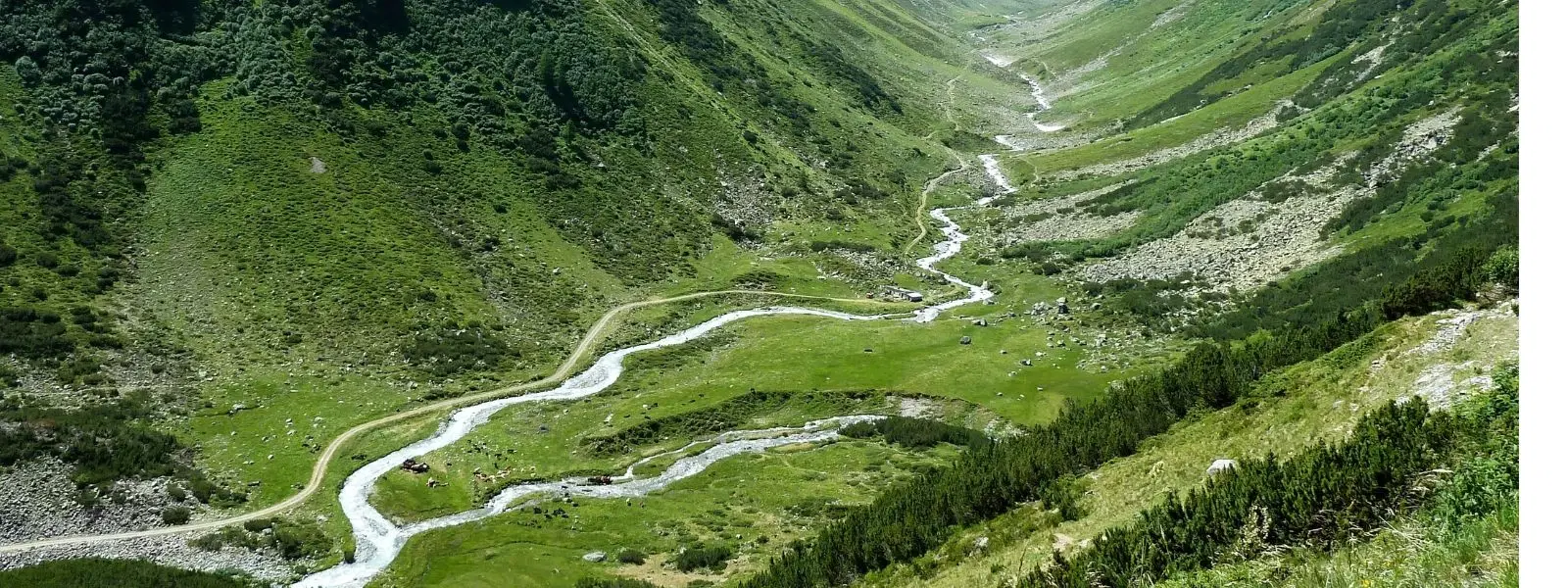 Expert Guide: Best Time to Visit Vizag and Araku Valley