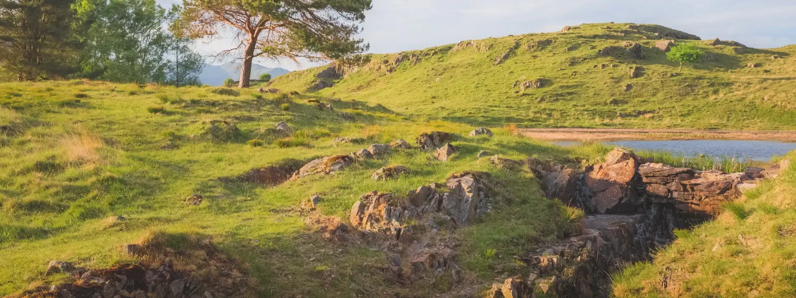 Expert Insights: Best Time to Visit Kolli Hills