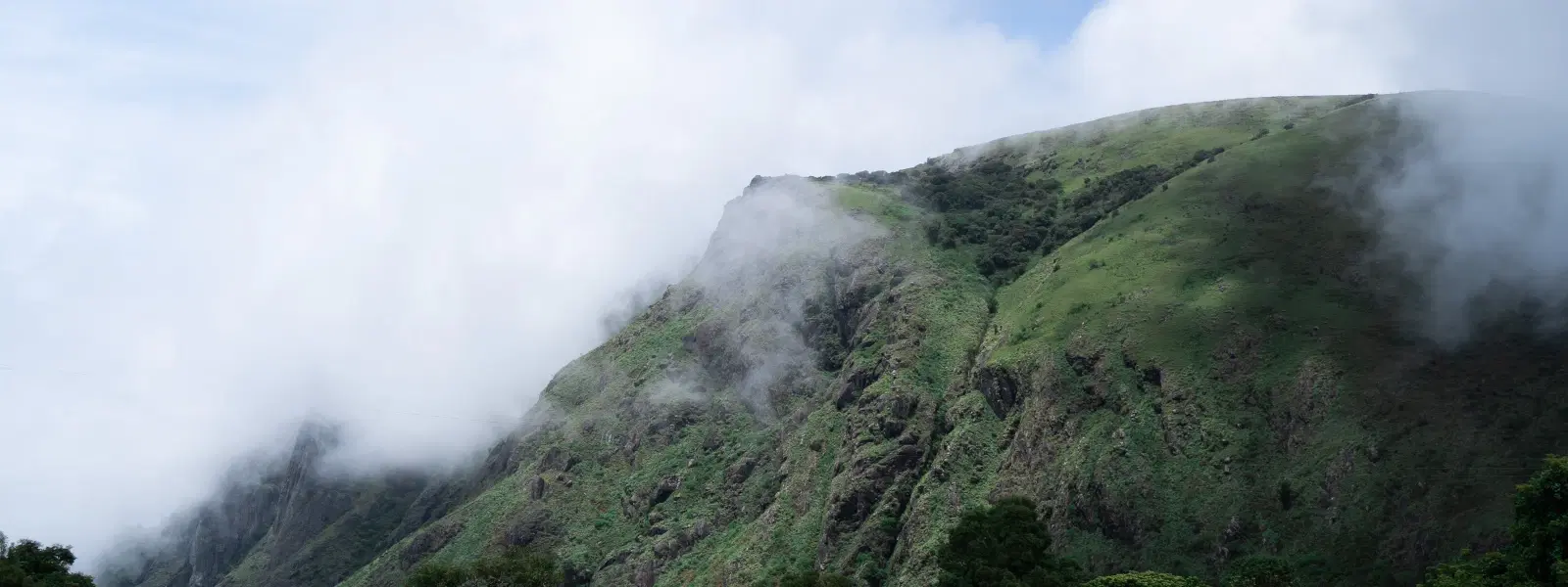 Expert Insights: Monsoon Valleys to Visit This Season