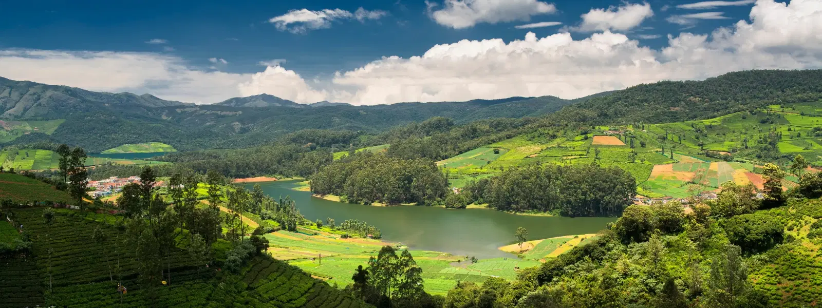 Expert Insights on Kodaikanal's Must-Visit Scenic Spots