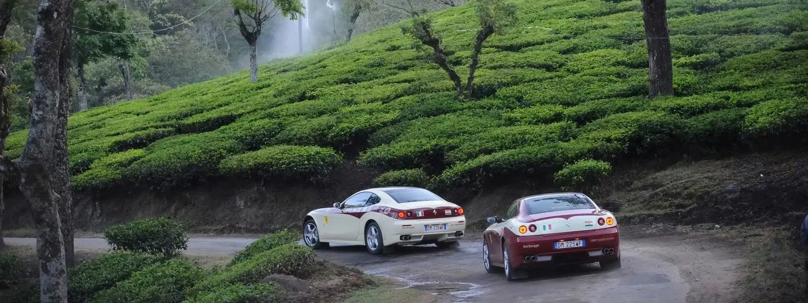 Expert Insights on Mysore to Ooty Road Trip Adventures