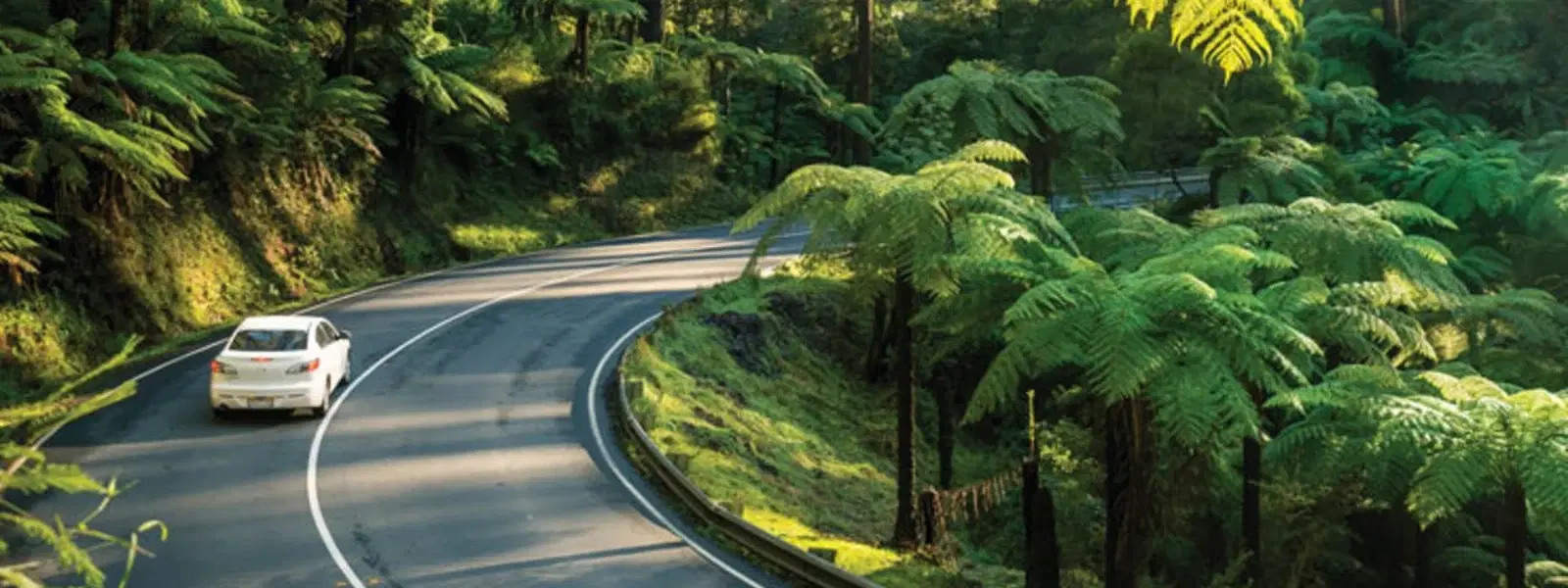 Expert Insights on Scenic Road Trips from Bangalore