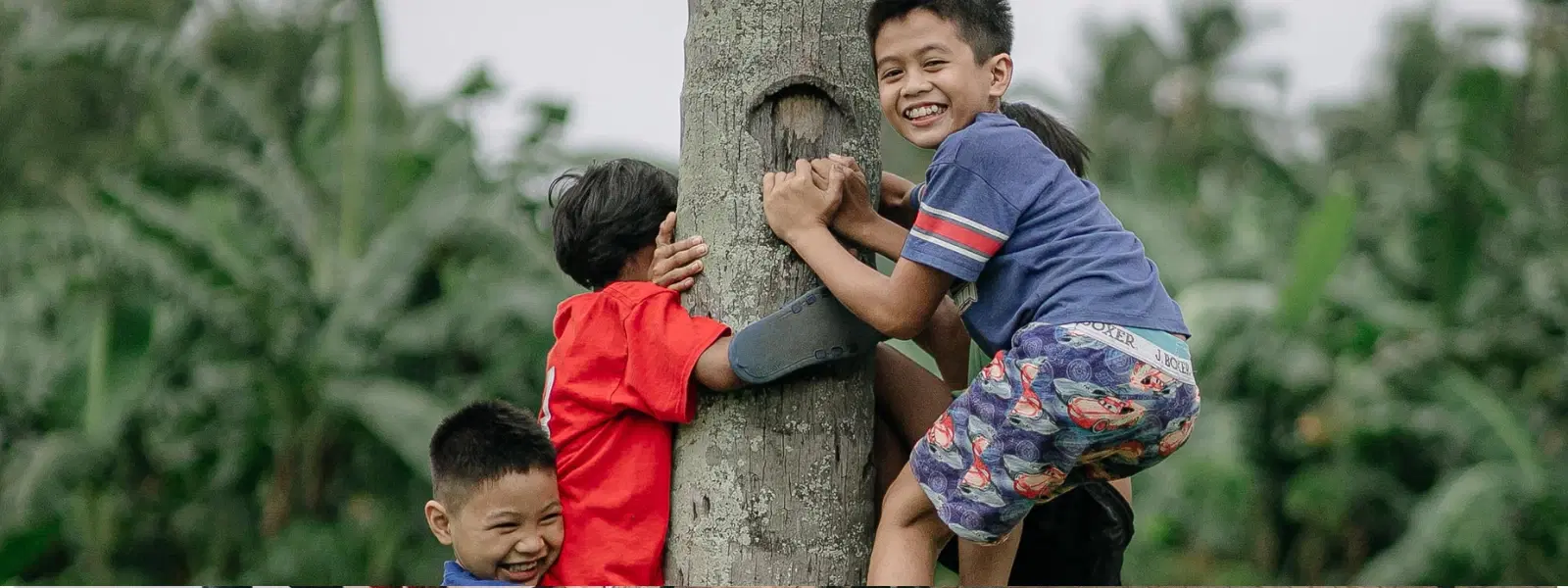 Expert Insights on Tree Climbing Activities in India