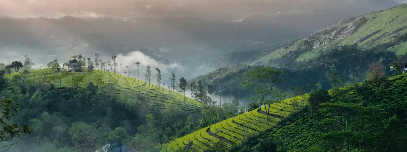 Expert Insights on Visiting Kerala in July's Monsoon