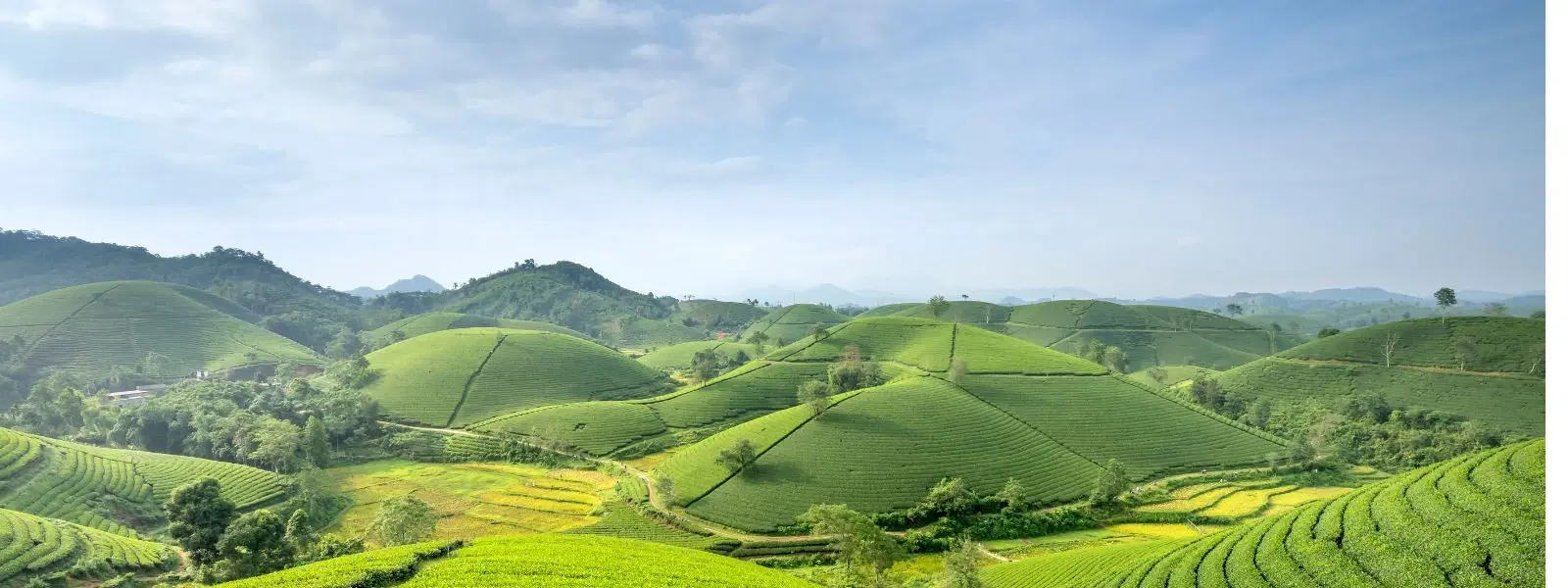 Expert Insights: Top Honeymoon Spots Near Hyderabad